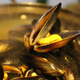 Illustration for article titled Something Strange and Terrible Is Happening to Mussels